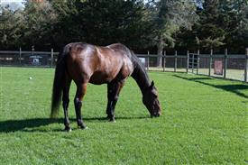 LR-WRF 10182025 Retreat-6557